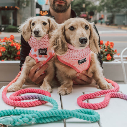 Dog Rope Leash - Unicorn