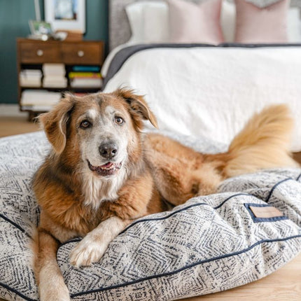Round Pet Bed in Sapphire Spaniel