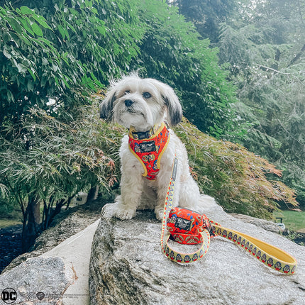 Dog Adjustable Harness - Wonder Woman™