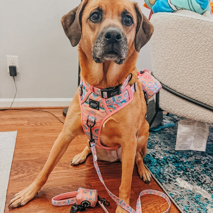 Dog Step-in Harness - Good Vibes