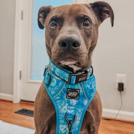 Dog Step-in Harness - Tropical Tides