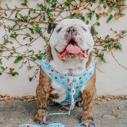 Dog Adjustable Harness - Care Bears™ Care-a-Lot