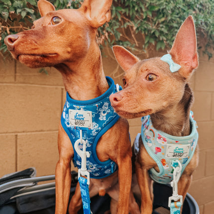 Dog Adjustable Harness - Care Bears™ Care-a-Lot